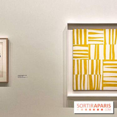 Formes et couleurs, l'exposition hommage à Ellsworth Kelly à la Fondation Louis Vuitton - image00078