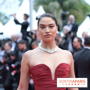 © Rachid Bellak - Cannes 2024 : Cérémonie d'ouverture - BEL 0931