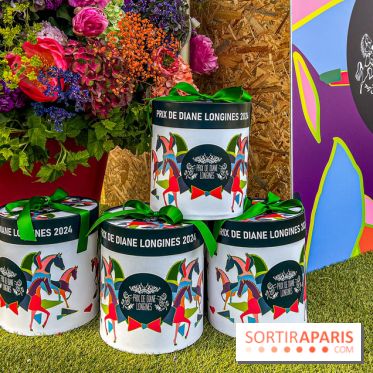 Visuels Hippodrome de Longchamp - courses de chevaux - Prix de Diane - image00020