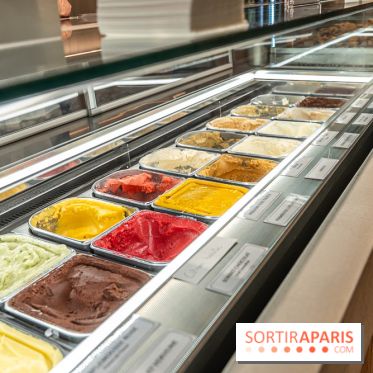 Nèulo Pâtisserie,le Paradis du flan par Pierre Jean Quinonero -  glaces