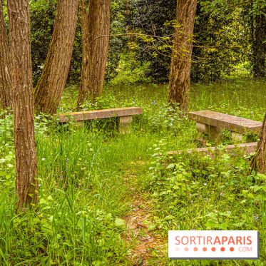 La Fondation Coubertin et son Domaine -  A7C2856