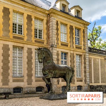 La Fondation Coubertin et son Domaine -  A7C2923