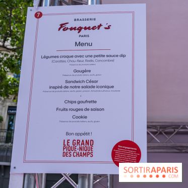 Grand pique nique des Champs-Élysées - photos