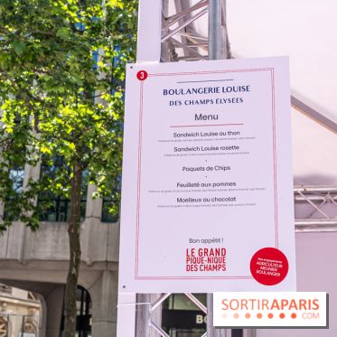 Grand pique nique des Champs-Élysées - photos  -  A7C4773