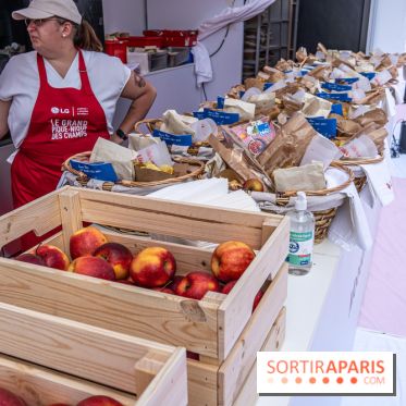 Grand pique nique des Champs-Élysées - photos