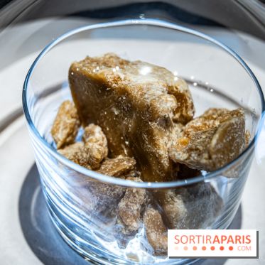 Jardins jardin 2024 à la Villa Windsor au Bois de Boulogne  -  A7C5031