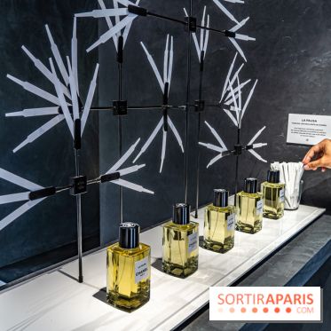 Jardins jardin 2024 à la Villa Windsor au Bois de Boulogne  -  A7C5035