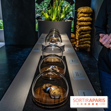 Jardins jardin 2024 à la Villa Windsor au Bois de Boulogne  -  A7C5030