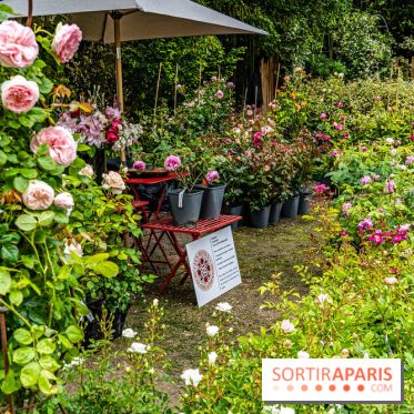 Jardins jardin 2024 à la Villa Windsor au Bois de Boulogne  -  A7C5041