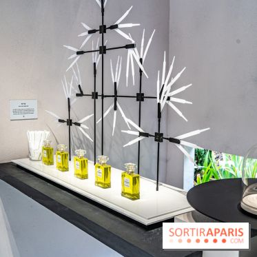 Jardins jardin 2024 à la Villa Windsor au Bois de Boulogne  -  A7C5034