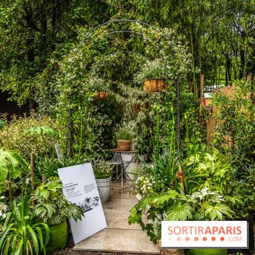 Jardins jardin 2024 à la Villa Windsor au Bois de Boulogne  -  A7C5044