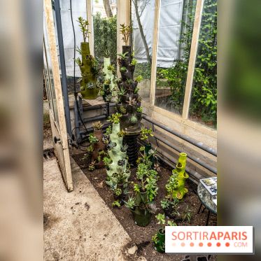 Jardins jardin 2024 à la Villa Windsor au Bois de Boulogne  -  A7C5061