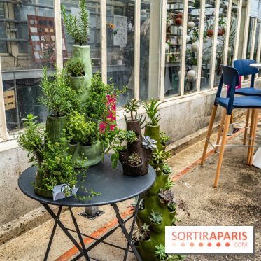 Jardins jardin 2024 à la Villa Windsor au Bois de Boulogne  -  A7C5069