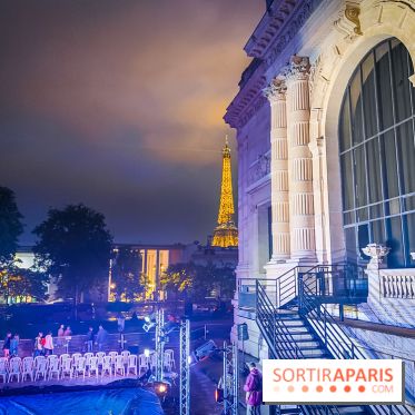 Nuit Blanche 2024 au Palais Galliera