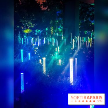 Nuit Blanche 2024 au musée du Quai Branly - IMG20240531224947