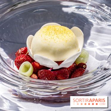 La terrasse jardin Summer de la Bauhinia au Shangri-La Paris -  A7C5638