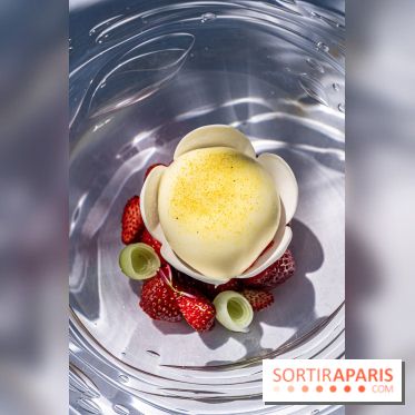 La terrasse jardin Summer de la Bauhinia au Shangri-La Paris -  A7C5660