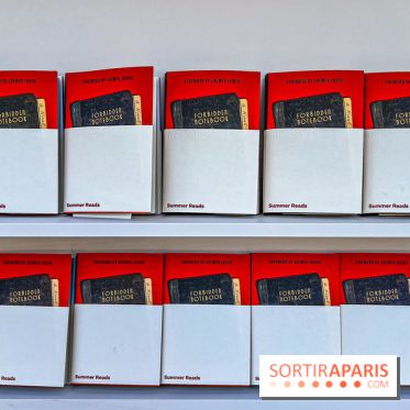 Miu-Miu distribue des livres et des glaces gratuites sur les quais parisiens ! - image00021