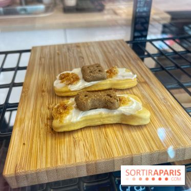 Casa del Doggo - IMG 1591