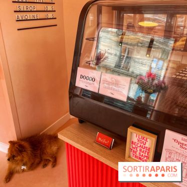 Casa del Doggo - IMG 1596