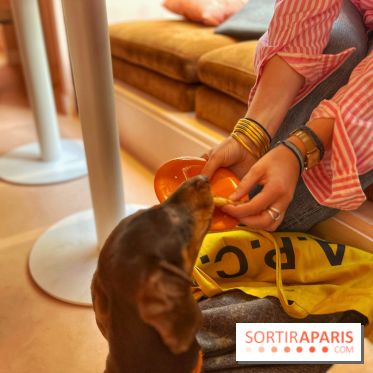 Casa del Doggo - IMG 1619