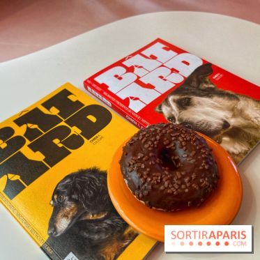 Casa del Doggo - IMG 1628