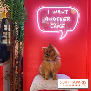 Casa del Doggo - IMG 1642