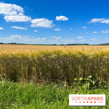 Paris-Meaux à vélo, nos photos - image00060
