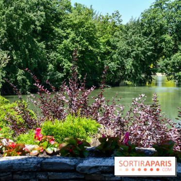 L'Écu de France, un restaurant gastronomique en bord de Marne - DSC 1446