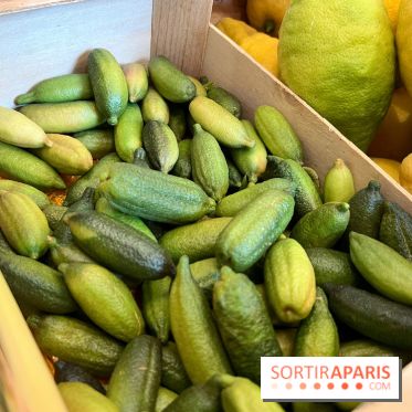 Lemon Story - Agrumes