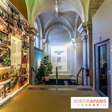 Exposition Paris à l'Hôtel de Ville - les Photos