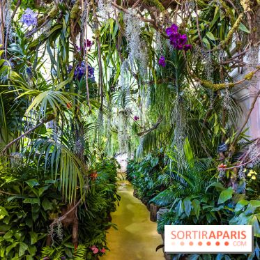 Exposition Paris à l'Hôtel de Ville - les Photos