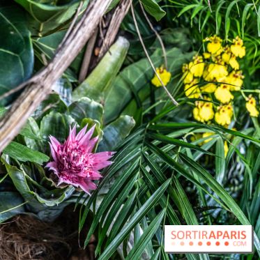 Exposition Paris à l'Hôtel de Ville - les Photos