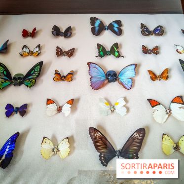 We are Here : l'exposition d'art urbain au Petit Palais