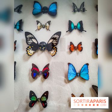 We are Here : l'exposition d'art urbain au Petit Palais