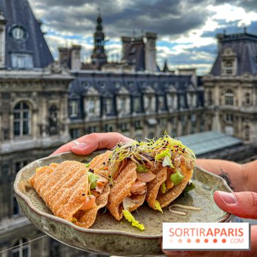 Terraza Mikuna, bar à tapas sud-américain sur la terrasse rooftop du BHV Marais - image00064