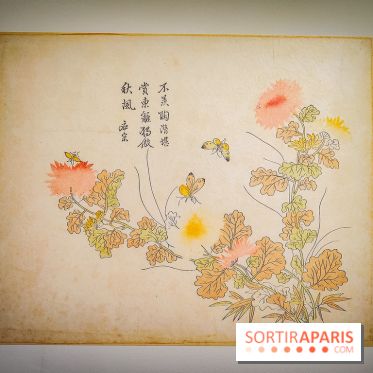 Au cœur de la couleur : l'exposition autour de la porcelaine de Chine au musée Guimet - nos photos - IMG20240611175418