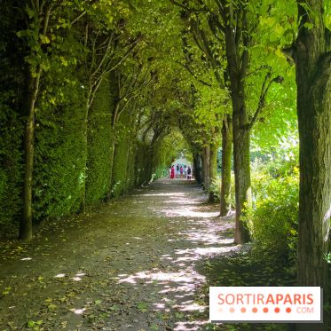 Jardin Bossuet de Meaux - nos photos - image00002