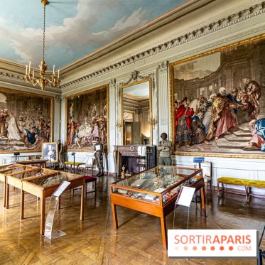 Le Château de la Roche Guyon, le château troglodyte dans le Val-d'Oise - 95 -  salon