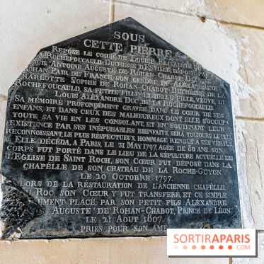 Le Château de la Roche Guyon, le château troglodyte dans le Val-d'Oise - 95 -  A7C6209