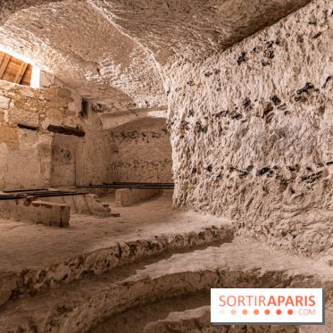 Le Château de la Roche Guyon, le château troglodyte dans le Val-d'Oise - 95 -  A7C6210