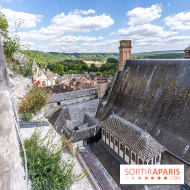 Le Château de la Roche Guyon, le château troglodyte dans le Val-d'Oise - 95 -  A7C6213