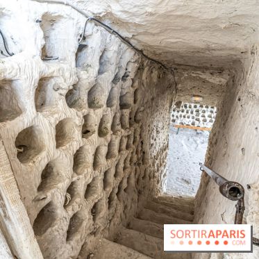 Le Château de la Roche Guyon, le château troglodyte dans le Val-d'Oise - 95 -  pigeonnier