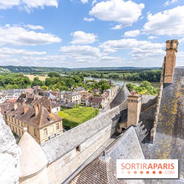 Le Château de la Roche Guyon, le château troglodyte dans le Val-d'Oise - 95 -  A7C6224