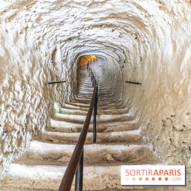Le Château de la Roche Guyon, le château troglodyte dans le Val-d'Oise - 95 -  escalier dans la roche