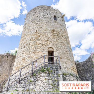Le Château de la Roche Guyon, le château troglodyte dans le Val-d'Oise - 95 -  donjon
