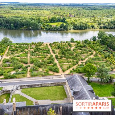 Le Château de la Roche Guyon, le château troglodyte dans le Val-d'Oise - 95 -  vue Jardin potager
