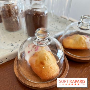 Hôtel Rosalie - Madeleines