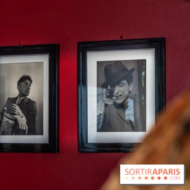 Maison Jean Cocteau à Milly-la-Forêt en Essonne - photos -  portrait