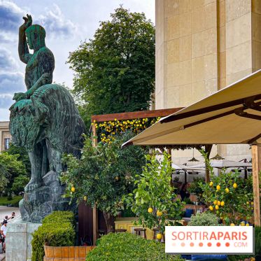 Limonaia Urbana - masterclasses et dégustations à l'italienne au Café de l'Homme - image00025